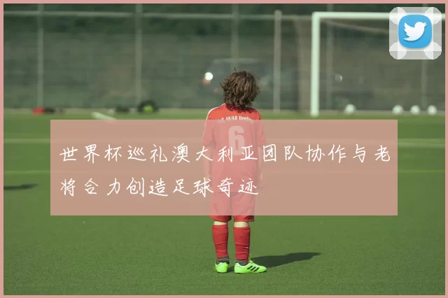 世界杯巡礼澳大利亚团队协作与老将合力创造足球奇迹